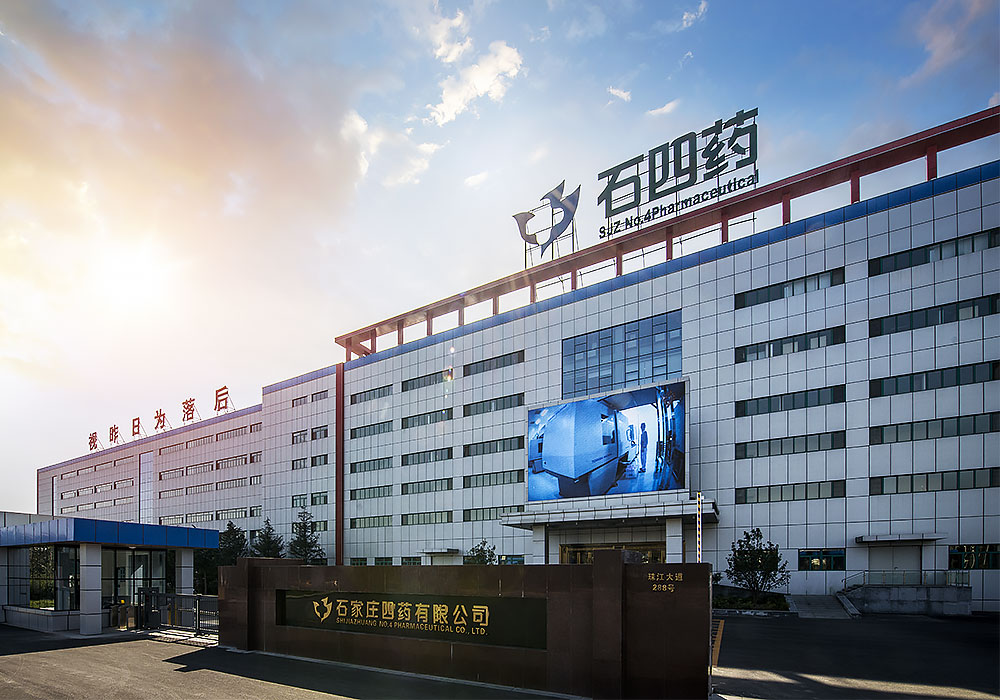 公司介绍